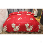 Đại lý cung cấp chăn ga gối đệm Sông Hồng tại Quảng Bình