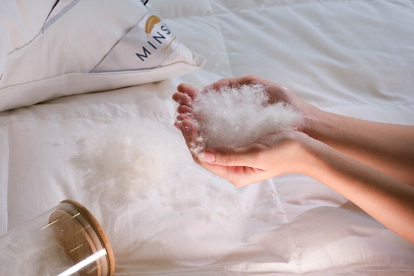 Bỏ túi 4 cách phân biệt chăn lông vũ tự nhiên và nhân tạo cực chuẩn
