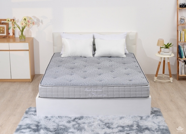 Nên chọn đệm Sông Hồng hay đệm Queensweet?