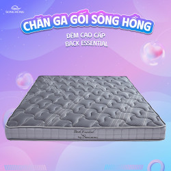 Đệm cao cấp Sông Hồng Back Essential gập 2 new 