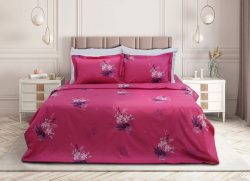 Vỏ chăn xuân thu Sông Hồng basic TC BT21038#1