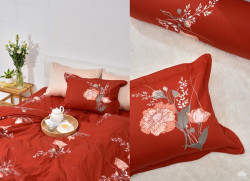 Chăn ga gối Sông Hồng basic TC BT22055#1