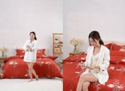 Chăn ga gối Sông Hồng basic TC BT22055