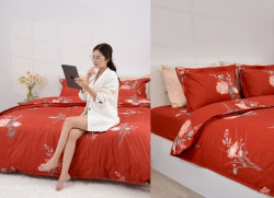 Chăn ga gối Sông Hồng basic TC BT22055#3