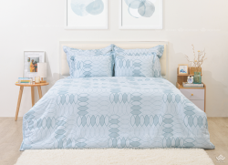 Chăn đông Sông Hồng Basic cotton BC23074#13