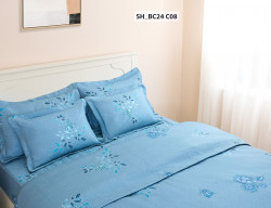 Chăn ga gối Sông Hồng Basic cotton BC24C08#7