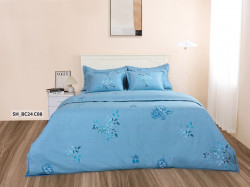 Chăn ga gối Sông Hồng Basic cotton BC24C08