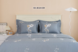 Chăn ga gối Sông Hồng Basic cotton BC24C09#9