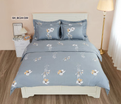 Chăn ga gối Sông Hồng Basic cotton BC24C09#1