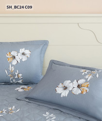 Chăn ga gối Sông Hồng Basic cotton BC24C09#8