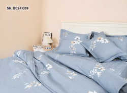 Chăn ga gối Sông Hồng Basic cotton BC24C09#6
