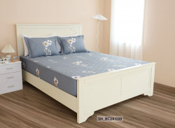 Chăn ga gối Sông Hồng Basic cotton BC24C09#4