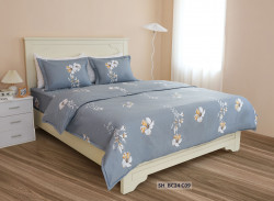 Chăn ga gối Sông Hồng Basic cotton BC24C09#3