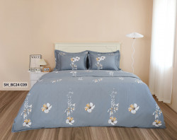 Chăn ga gối Sông Hồng Basic cotton BC24C09