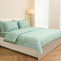 Ga gối Sông Hồng Basic cotton BC24104#5