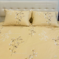 Ga gối Sông Hồng Basic cotton BC24C07#4