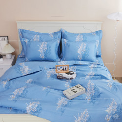 Chăn đông Sông Hồng Basic cotton BC24C10#1