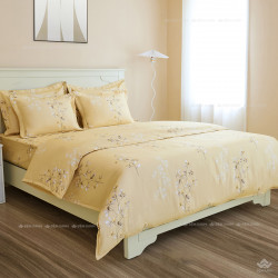 Vỏ chăn xuân thu Sông Hồng basic cotton BC24C07#7