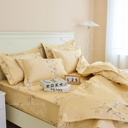 Vỏ chăn xuân thu Sông Hồng basic cotton BC24C07#6