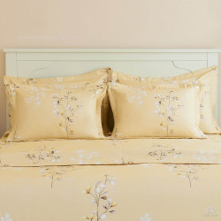 Vỏ chăn xuân thu Sông Hồng basic cotton BC24C07#3