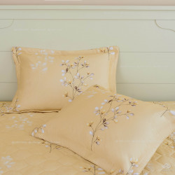 Vỏ chăn xuân thu Sông Hồng basic cotton BC24C07#1