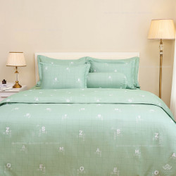 Vỏ chăn xuân thu Sông Hồng basic cotton BC24104#4