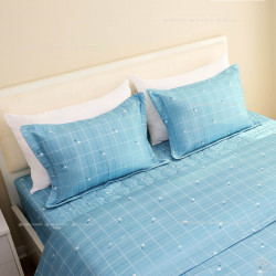 Vỏ chăn xuân thu Sông Hồng basic cotton BC24107#9