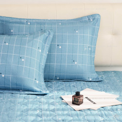 Vỏ chăn xuân thu Sông Hồng basic cotton BC24107#5