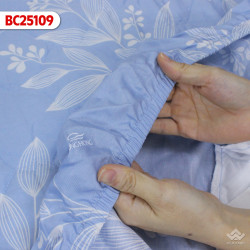 Ga gối Sông Hồng Basic Cotton BC25109#3