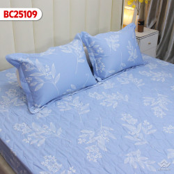 Ga gối Sông Hồng Basic Cotton BC25109#2