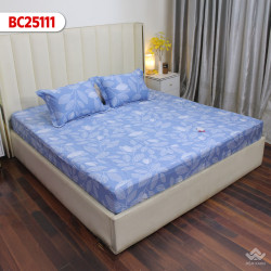 Ga gối Sông Hồng Basic Cotton BC25111#4