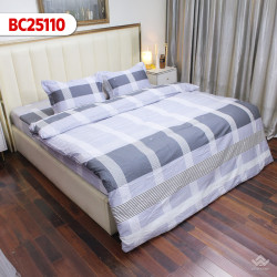  Chăn đông Sông Hồng Basic cotton BC25110#1