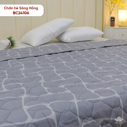 Chăn hè Sông Hồng basic cotton BC24106#5