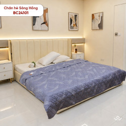 Chăn hè Sông Hồng basic cotton BC24101#5