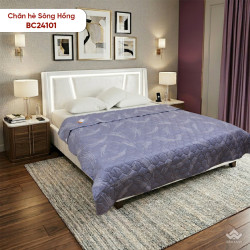Chăn hè Sông Hồng basic cotton BC24101#11