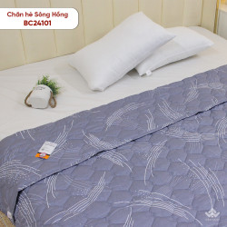 Chăn hè Sông Hồng basic cotton BC24101#10
