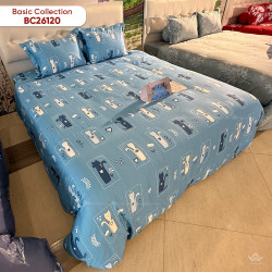 Chăn ga gối Sông Hồng Basic Cotton BC26120#6