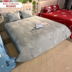 Chăn ga gối Sông Hồng Basic Cotton BC26125#5