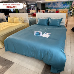 Ga gối Sông Hồng Basic Cotton BC26201#4