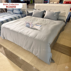Ga gối Sông Hồng Basic Cotton BC26202#1