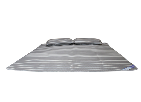 Chiếu điều hòa đa năng Olympia 4D Icool màu xám