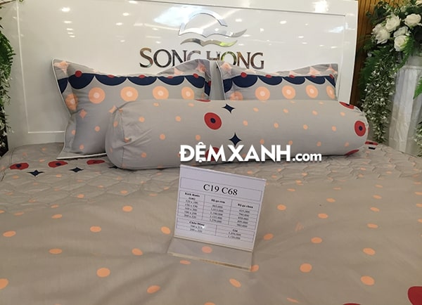 Chăn ga gối Sông Hồng Classic Cotton C19C68