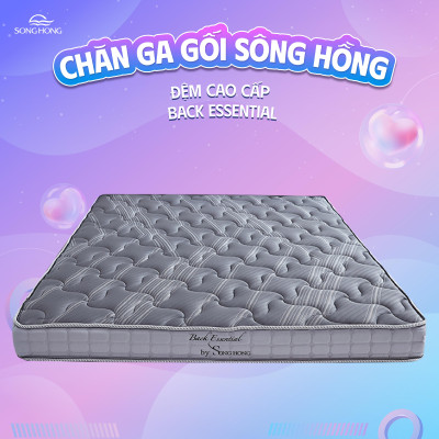 Đệm cao cấp Sông Hồng Back Essential gập 2 new 