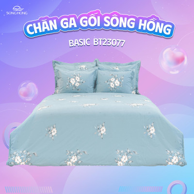 Chăn đông Sông Hồng Basic TC BT23077