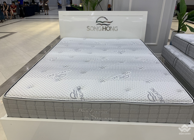 Đệm cao cấp Sông Hồng Back Essential nguyên tấm 